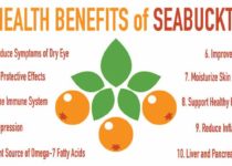 Health Benefits of Sea Buckthorn
