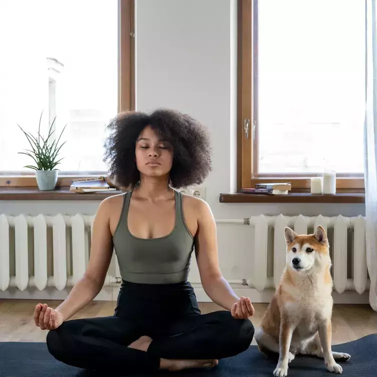10 Step Guide to Starting a Meditation Practice